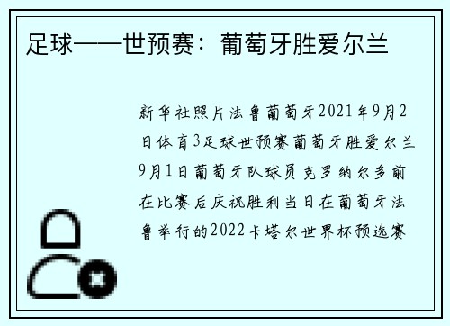 足球——世预赛：葡萄牙胜爱尔兰